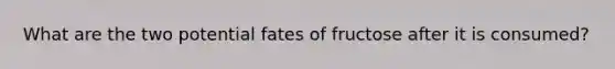 What are the two potential fates of fructose after it is consumed?