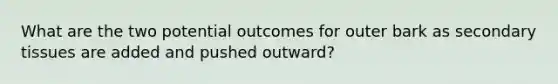 What are the two potential outcomes for outer bark as secondary tissues are added and pushed outward?