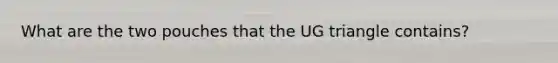 What are the two pouches that the UG triangle contains?
