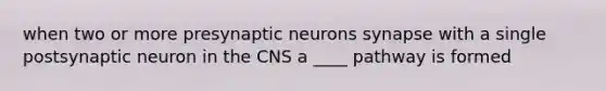 when two or more presynaptic neurons synapse with a single postsynaptic neuron in the CNS a ____ pathway is formed