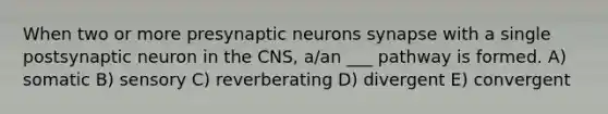 When two or more presynaptic neurons synapse with a single postsynaptic neuron in the CNS, a/an ___ pathway is formed. A) somatic B) sensory C) reverberating D) divergent E) convergent