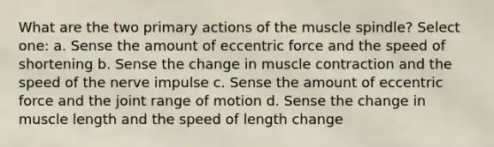 What are the two primary actions of the muscle spindle? Select one: a. Sense the amount of eccentric force and the speed of shortening b. Sense the change in muscle contraction and the speed of the nerve impulse c. Sense the amount of eccentric force and the joint range of motion d. Sense the change in muscle length and the speed of length change