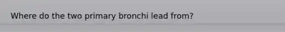 Where do the two primary bronchi lead from?