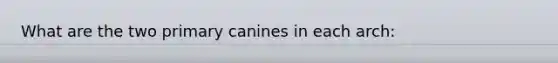 What are the two primary canines in each arch: