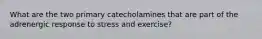 What are the two primary catecholamines that are part of the adrenergic response to stress and exercise?