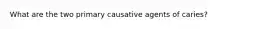 What are the two primary causative agents of caries?