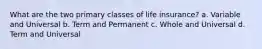 What are the two primary classes of life insurance? a. Variable and Universal b. Term and Permanent c. Whole and Universal d. Term and Universal