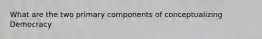 What are the two primary components of conceptualizing Democracy