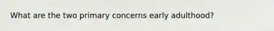 What are the two primary concerns early adulthood?