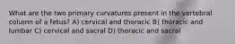 What are the two primary curvatures present in the vertebral column of a fetus? A) cervical and thoracic B) thoracic and lumbar C) cervical and sacral D) thoracic and sacral