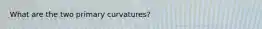 What are the two primary curvatures?