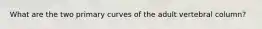 What are the two primary curves of the adult vertebral column?