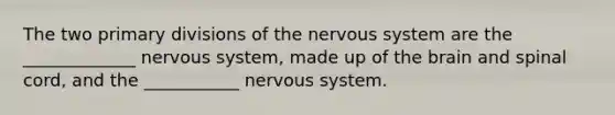 The two primary divisions of the nervous system are the _____________ nervous system, made up of the brain and spinal cord, and the ___________ nervous system.