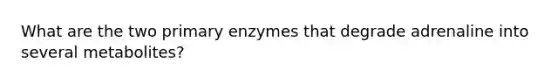 What are the two primary enzymes that degrade adrenaline into several metabolites?