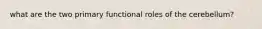 what are the two primary functional roles of the cerebellum?