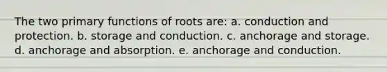 The two primary functions of roots are: a. conduction and protection. b. storage and conduction. c. anchorage and storage. d. anchorage and absorption. e. anchorage and conduction.