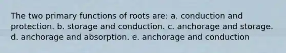 The two primary functions of roots are: a. conduction and protection. b. storage and conduction. c. anchorage and storage. d. anchorage and absorption. e. anchorage and conduction