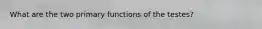 What are the two primary functions of the testes?