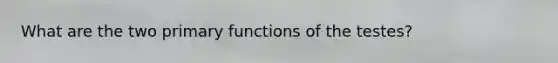 What are the two primary functions of the testes?