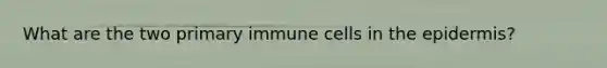 What are the two primary immune cells in the epidermis?