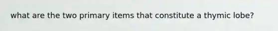 what are the two primary items that constitute a thymic lobe?