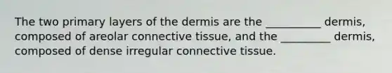 The two primary layers of the dermis are the __________ dermis, composed of areolar connective tissue, and the _________ dermis, composed of dense irregular connective tissue.