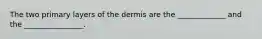 The two primary layers of the dermis are the _____________ and the ________________.