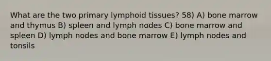 What are the two primary lymphoid tissues? 58) A) bone marrow and thymus B) spleen and lymph nodes C) bone marrow and spleen D) lymph nodes and bone marrow E) lymph nodes and tonsils