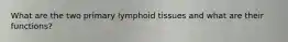 What are the two primary lymphoid tissues and what are their functions?