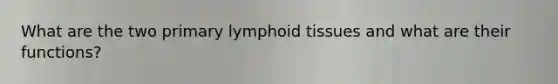 What are the two primary lymphoid tissues and what are their functions?