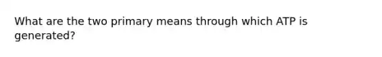 What are the two primary means through which ATP is generated?