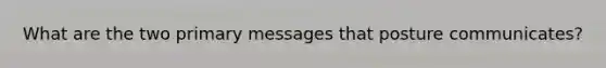 What are the two primary messages that posture communicates?