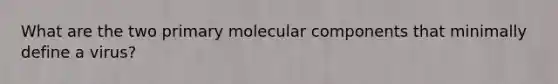 What are the two primary molecular components that minimally define a virus?