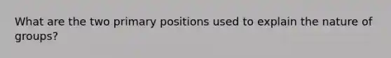 What are the two primary positions used to explain the nature of groups?