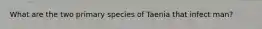 What are the two primary species of Taenia that infect man?