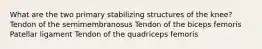 What are the two primary stabilizing structures of the knee? Tendon of the semimembranosus Tendon of the biceps femoris Patellar ligament Tendon of the quadriceps femoris