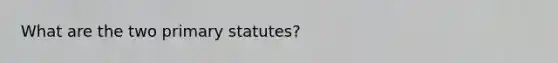 What are the two primary statutes?