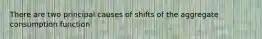 There are two principal causes of shifts of the aggregate consumption function