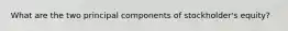 What are the two principal components of stockholder's equity?