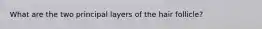 What are the two principal layers of the hair follicle?