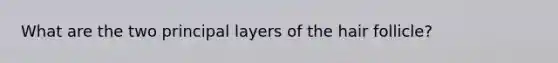 What are the two principal layers of the hair follicle?