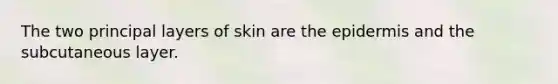 The two principal layers of skin are the epidermis and the subcutaneous layer.