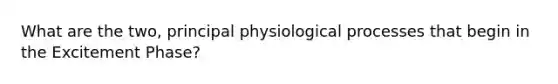 What are the two, principal physiological processes that begin in the Excitement Phase?