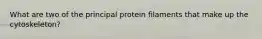 What are two of the principal protein filaments that make up the cytoskeleton?