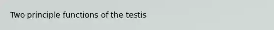 Two principle functions of the testis