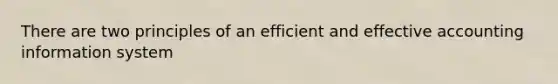 There are two principles of an efficient and effective accounting information system