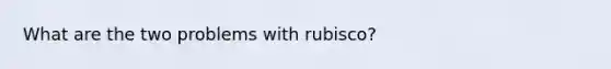 What are the two problems with rubisco?