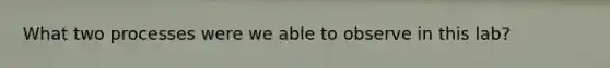 What two processes were we able to observe in this lab?
