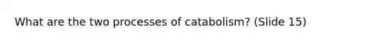 What are the two processes of catabolism? (Slide 15)