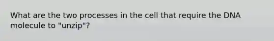 What are the two processes in the cell that require the DNA molecule to "unzip"?